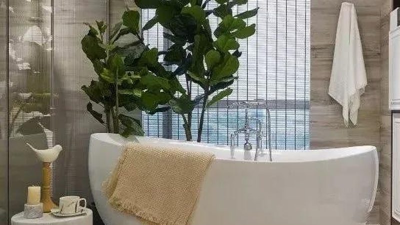 卫浴洁具型号尺寸对照表，揭秘选购技巧与误区