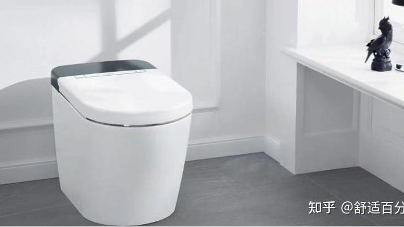 成都蹲便器批发：揭秘蹲便器选购的五大关键要素